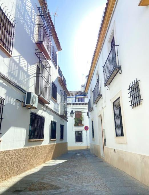 Apartamento Centrico En El Casco Historico De 코르도바 외부 사진